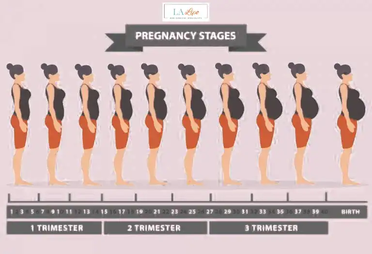 First Trimester (Weeks 1–12): Early Changes You Might Not Notice Sunderland